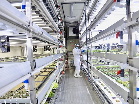Regions’s first instore hydroponic farms open in Carrefour