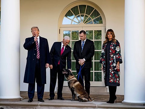 US President Donald Trump, Vice President Mike Pence, and first lady Melania Trump pose Monday, Nov. 25, 2019, at the White House in Washington, with a handler and Conan, a military working dog injured in the raid that killed the Islamic State leader Abu Bakr Al Baghdadi.