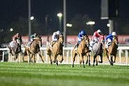 The Dubai World Cup Carnival, like previous years, will provide some high quality competition leading to the Dubai World Cup on March 28, 2020.