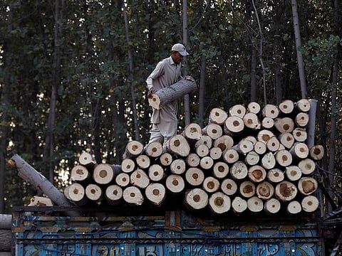 Key export sectors will receive an immediate boost from upcoming tax cuts in Pakistan. File picture shows a worker arrange freshly cut wood on a truck in Charsadda near Peshawar.