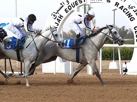 Mubasher Al Khalediah, ridden by Abdullah Al Fairoz, gets home to win the inaugural running of the GCC Cup