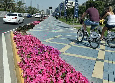 Seasonal flowers along with Corniche road, as part of the city beautification in the Capital by Minicipality -