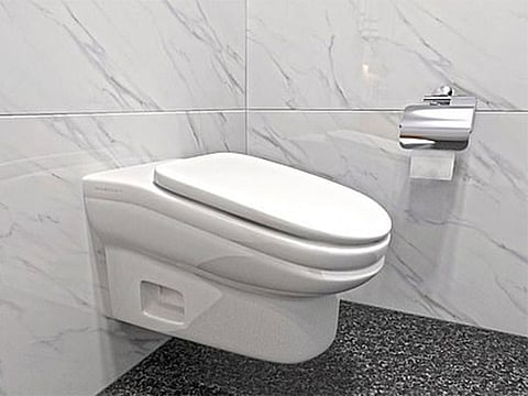 The 'StandardToilet' has an 'inconveniently sloped' seat at a 13 degree angle.