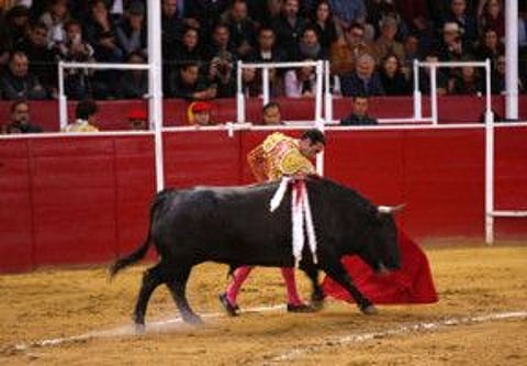 It’s bullfight season in Tijuana, home of the world’s third-largest bullring.