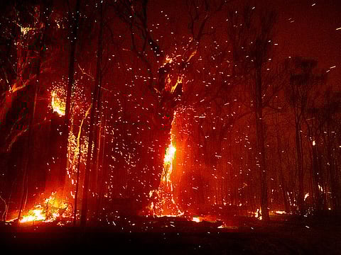 The wildfires that destroyed 20 per cent of Australia’s forests were made at least 30 per cent more likely due to global warming, a new report has said.