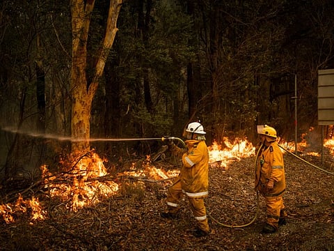 In an effort to create a fire break, volunteer firefighters tend a controlled burn along Princess Highway in Australia's Meroo National Park, January 5, 2020