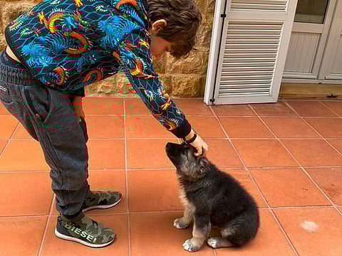 'Baby Bear' is now up for adoption.