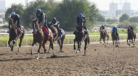 A trial race in progress at the Jebel Ali Racecourse on Monday morning.