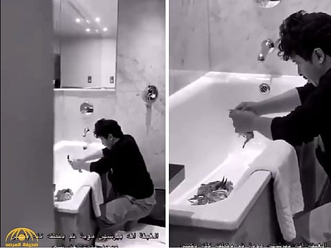 Saudi men seen in the video plucking the pigeons' feathers.