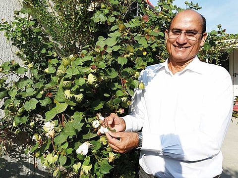 Dubai-based Indian expatriate R.K. Bishnoi