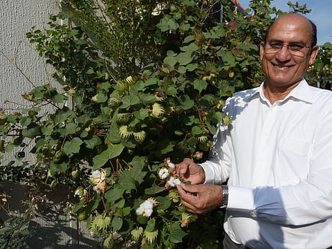 Dubai-based Indian expat RK Bishnoi is on a mission to encourage residents to go green