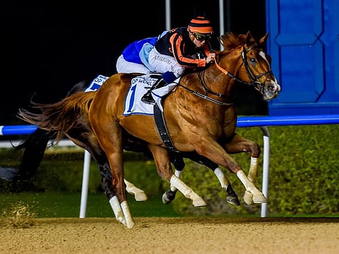Gladiator King, ridden by the jockey Mickael Barzalona, won the Al Shindagha Sprint - the lead-up race to Dubai Golden Shaheen on the Dubai World Cup night.