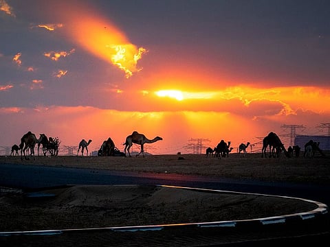 Reader picture used for illustrative purposes: UAE's Moon-sighting Committee confirms Thursday will be the first day of the Holy Month of Ramadan in the UAE