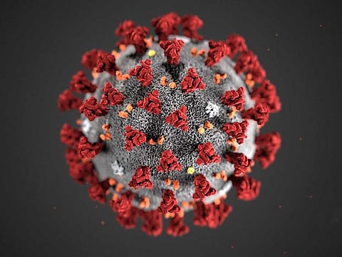 This handout illustration image obtained February 3, 2020, courtesy of the Centers for Disease Control and Prevention, and created at the Centers for Disease Control and Prevention (CDC), reveals ultrastructural morphology exhibited by coronaviruses.