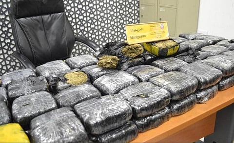 40-kg of marijuana seized by customs in Abu Dhabi