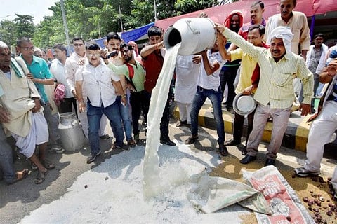 The dairy market in India reached a value of Rs10,527 billion in 2019. More than 10 million dairy farmers belong to 96,000 local dairy cooperatives.
