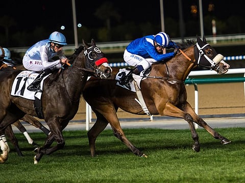 Waady won at Meydan on Thursday night