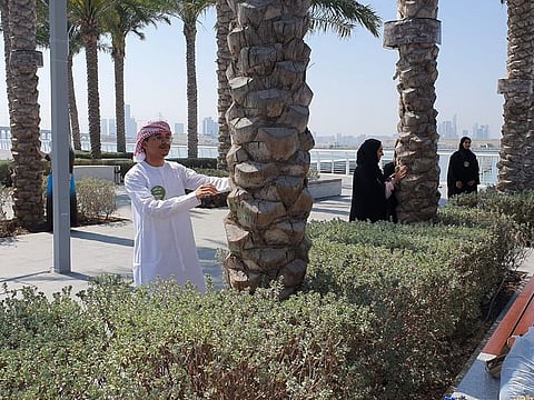 The  Singing Trees installation at Louvre Abu Dhabi