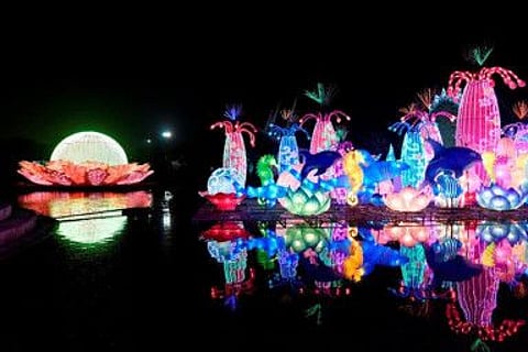 Free entry to Dubai recreational facilities with park membership