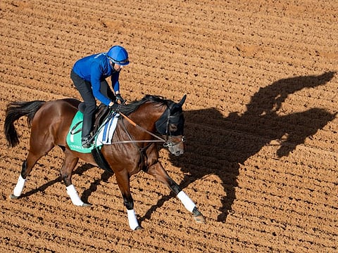 Benbatl does some track work in Riyadh