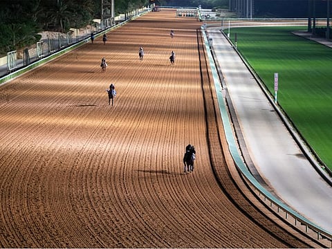 Track work at King Abdulaziz Racetrack