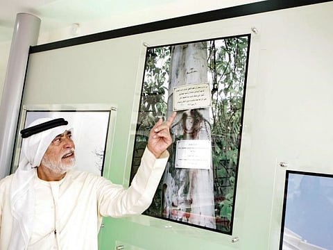 A tall eucalyptus still stands at one end of Abdul Hafeez Khan’s garden. Shaikh Zayed chose the location. A plaque on the tree reads: “Planted by H.H. Shaikh Zayed Bin Sultan Al Nahyan in 1962.” Khan points at the tree’s picture posted at the National Archives.