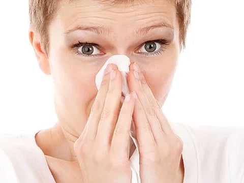 Picture used for illustrative purpose only