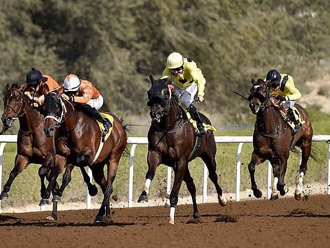 The Satish Seemar-trained Ode to Autumn won the 1,400 metre Derrinstown Handicap at Jebel Ali