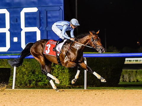 Matterhorn, ridden by jockey Mickael Barzalona and trained by Salem Bin Ghadayer, wins the Al Maktoum Challenge Round 3 on Super Saturday at Meydan racecourse last week.
