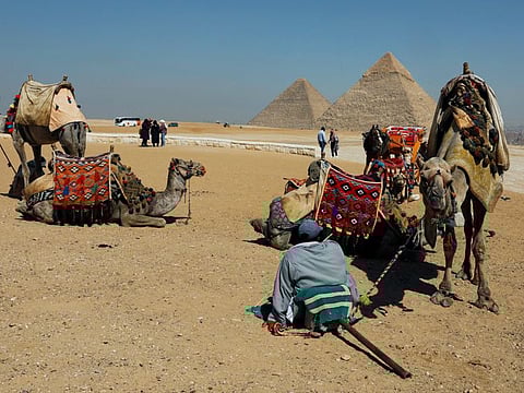 A man waits for tourists to rent his camels in front of the Great Pyramids of Giza, on the outskirts of Cairo. Egypt's crucial tourism sector depends a lot on Gulf visitors.