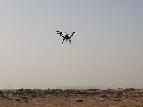 A Khalifa University-developed drone that can pollinate a million palm trees