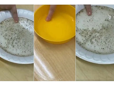 A video of a teacher demonstrating the importance of washing hands with soap is going viral online