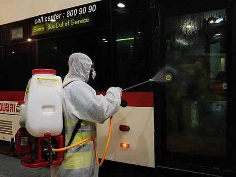 RTA completes its sterilisation drive