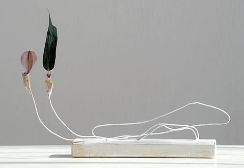 Bouquet of art: Galleries use flower power