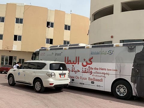 Blood donation at DIP