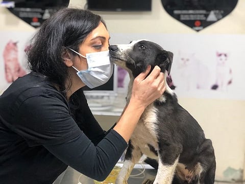 The rate of people not keeping their pets went up after the unjustified fear of COVID-19.