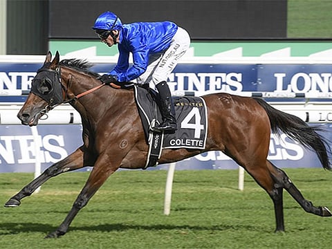 Godolphin's Colette won the Australian Oaks