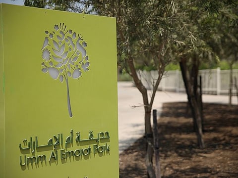 Umm Al Emarat Park in Abu Dhabi. For illustrative purpose only