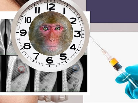 Researchers found that 5 days post-reinfection (dpr), the re-exposed monkeys (Rhesus monkey Macaca mulatta) tested negative.
