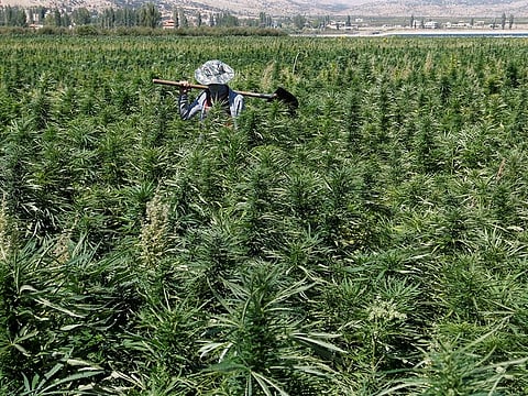 The incident happened in the Baalbeck region of Lebanon.