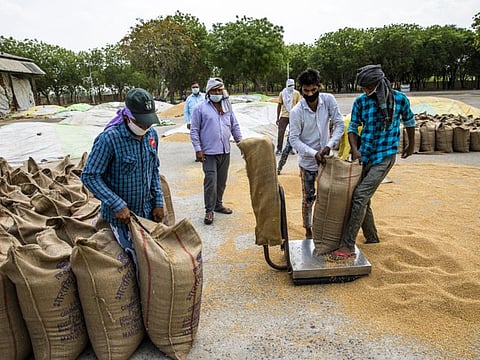 Workers weigh a sack of wheat at the Dankaur Grain Market in the Gautam Buddh Nagar district of Uttar Pradesh, India, on Tuesday, April 21, 2020. The farm sector is likely to be the lone bright spot for India's stalled economy as Prime Minister Narendra Modi crafts a plan to exit the world’s biggest lockdown and revive stalled economic activity. Photographer: Prashanth Vishwanathan/Bloomberg
