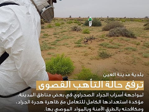 Locust swarms in Al Ain