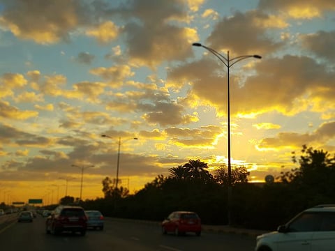 Morning glory in Sharjah