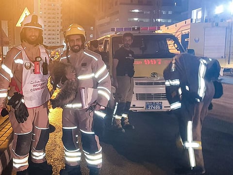 Sharjah firefighters with rescued cat Belle