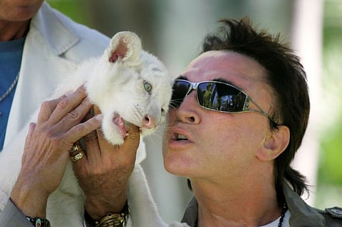 FILE PHOTO - Illusionist Roy Horn nuzzles a 6-week-old tiger cub at his home in Las Vegas, Nevada June 12, 2008.  REUTERS/Las Vegas Sun/File Picture