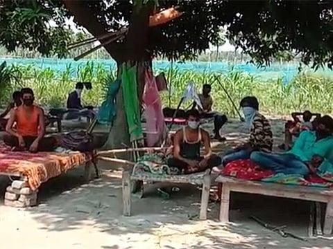 Migrant workers returning to Bihar are self-quarantining under the trees and in the fields as villagers have kept them out of their homes for fear of the virus.
