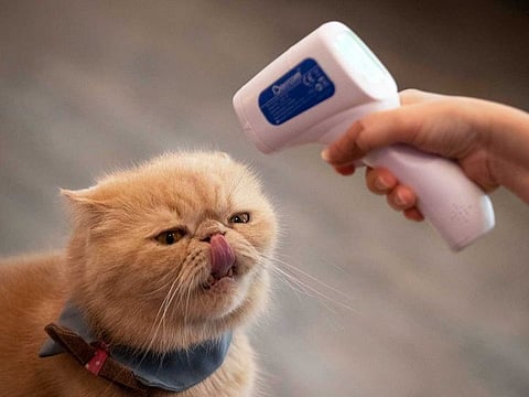 For illustrative purposes only.