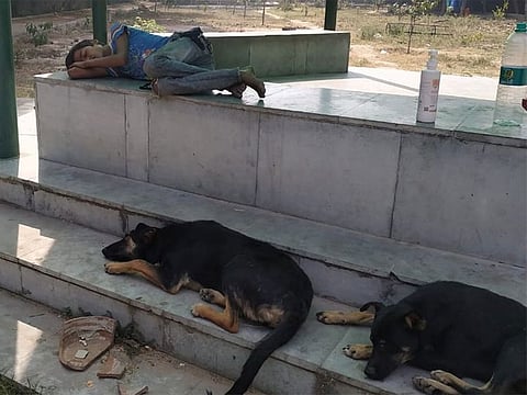 Twelve-year-old Indian migrant boy takes shelter in a park amid lockdown