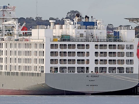 A general view of the docked Al Kuwait, a live export ship that arrived from the United Arab Emirates with crew members who tested positive for the coronavirus disease (COVID-19), at Fremantle Harbour near Perth, Australia