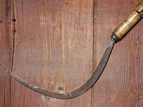 A sickle was used in the killing of 14-year-old Romina.